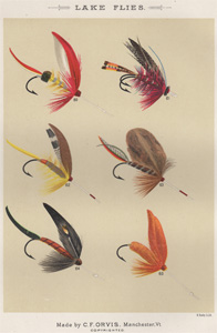 ANTIQUE PRINT OF FISHING FLIES FROM 1892